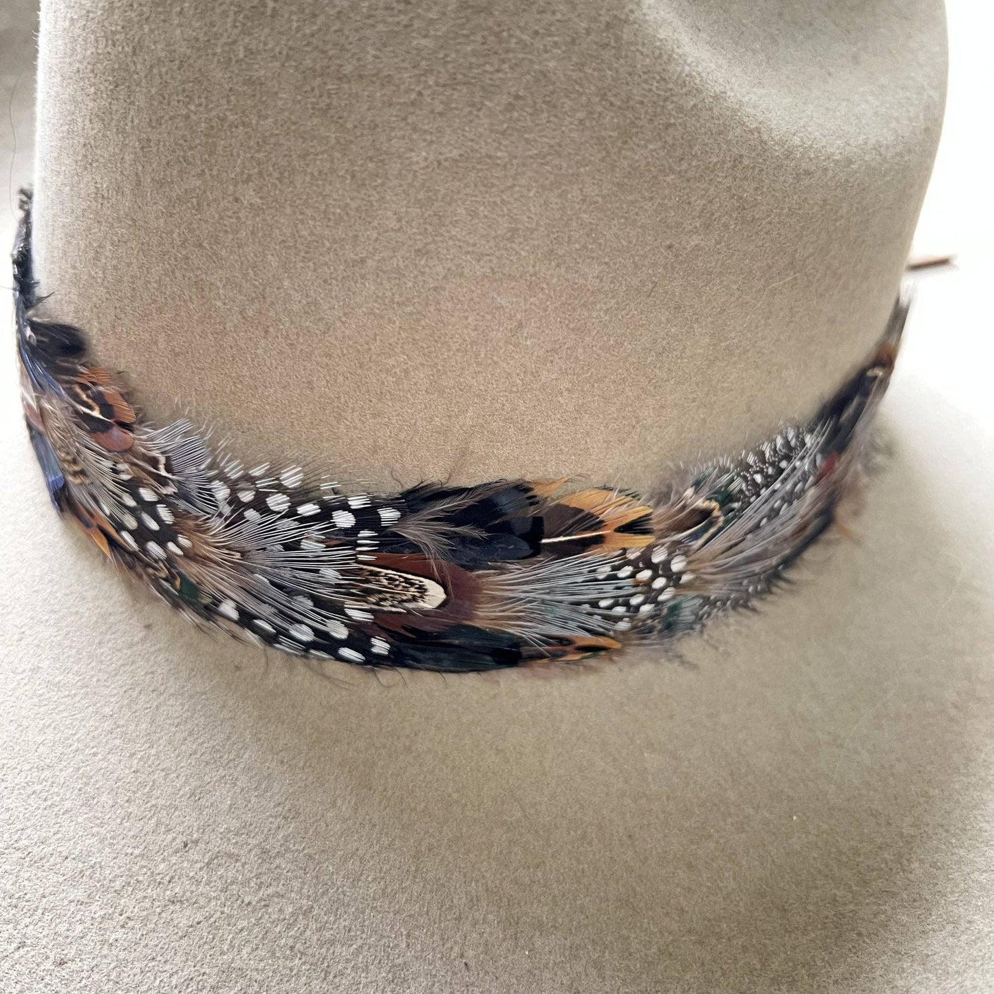 Western Feather Falcon Cowboy Hat Band