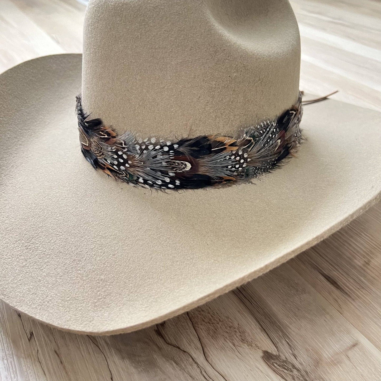 Western Feather Falcon Cowboy Hat Band