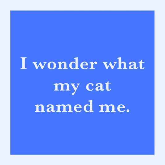 I wonder what my cat named me.