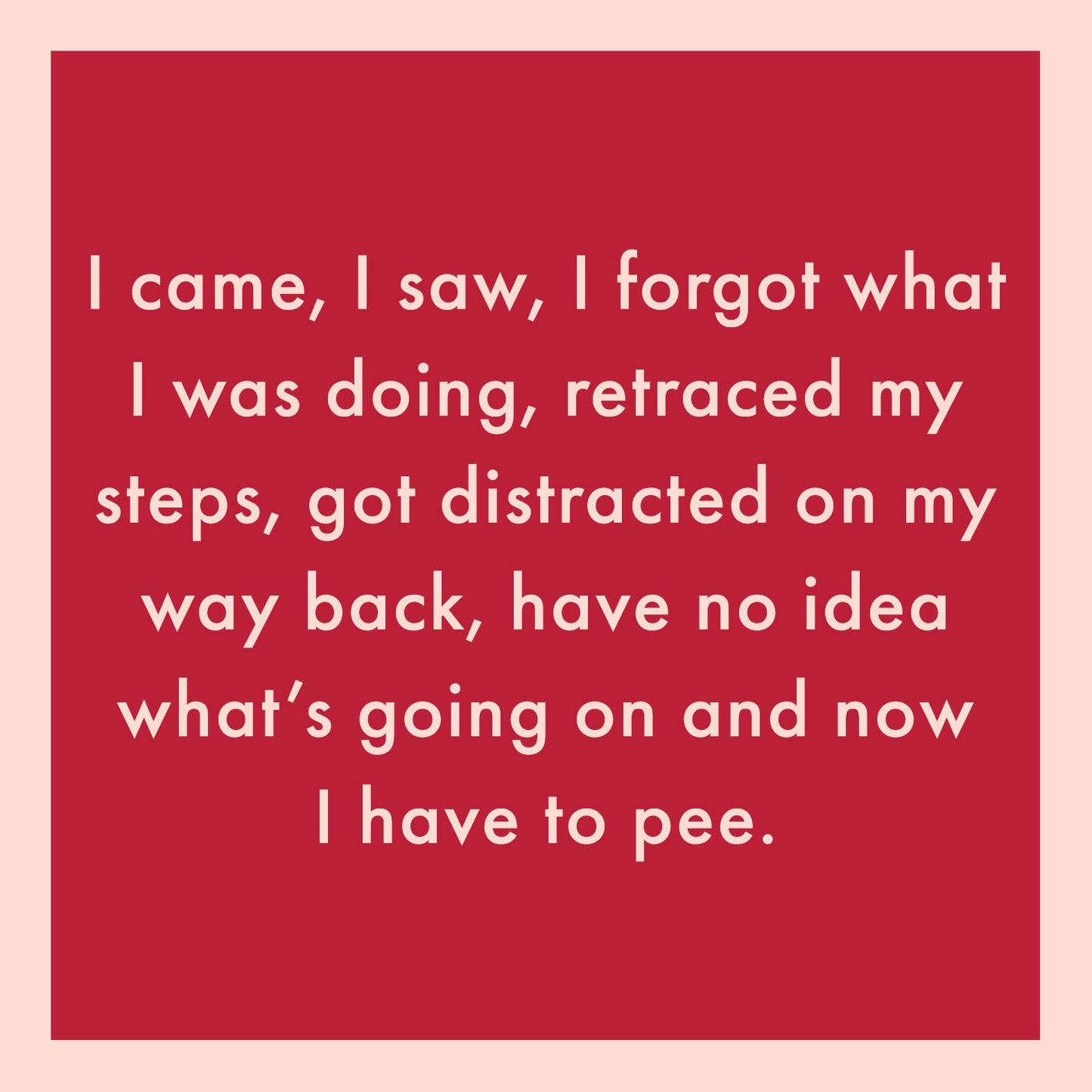CARD I Came, I Saw | Funny Gift | Kitsch Greeting Cards