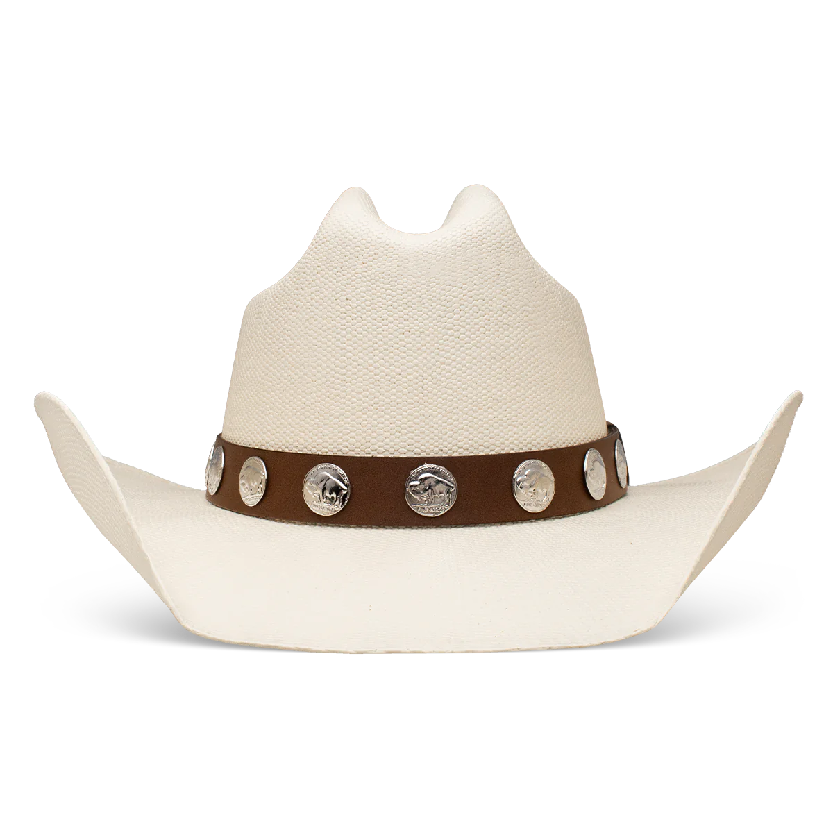 Hang Tight Honey Natural Charlie 1 Horse for Lainey Wilson at Bourbon Cowgirl