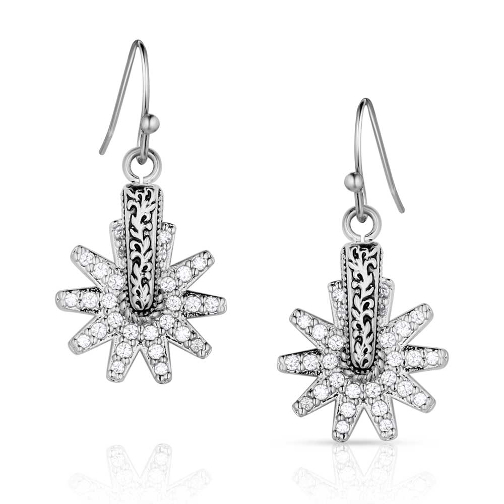 ER5823 Starburst Earrings with CZ Crystals
