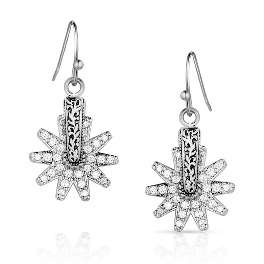 ER5823 Starburst Earrings with CZ Crystals