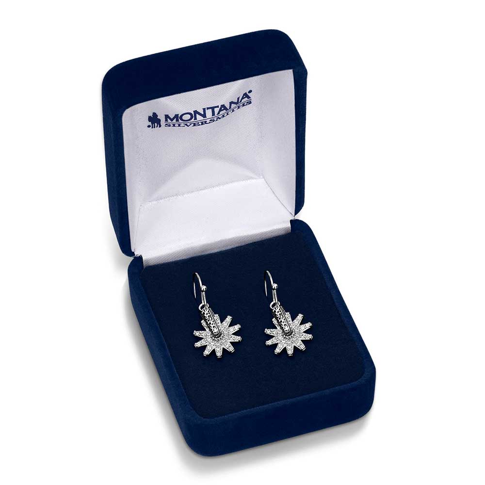ER5823 earrings in a blue velvet box
