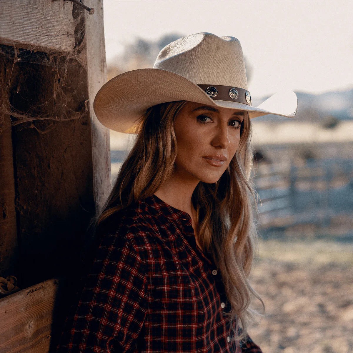 Hang Tight Honey Natural Charlie 1 Horse for Lainey Wilson at Bourbon Cowgirl