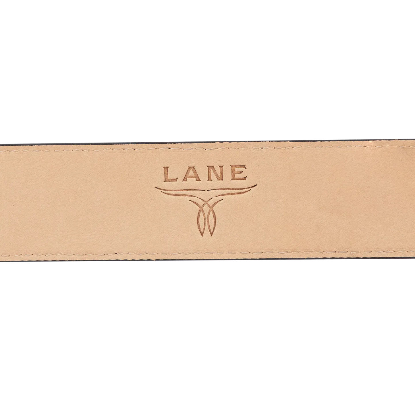 Lane Belt Logo detail