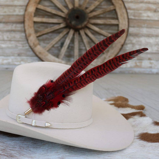 Cowboy hat with red feathers.