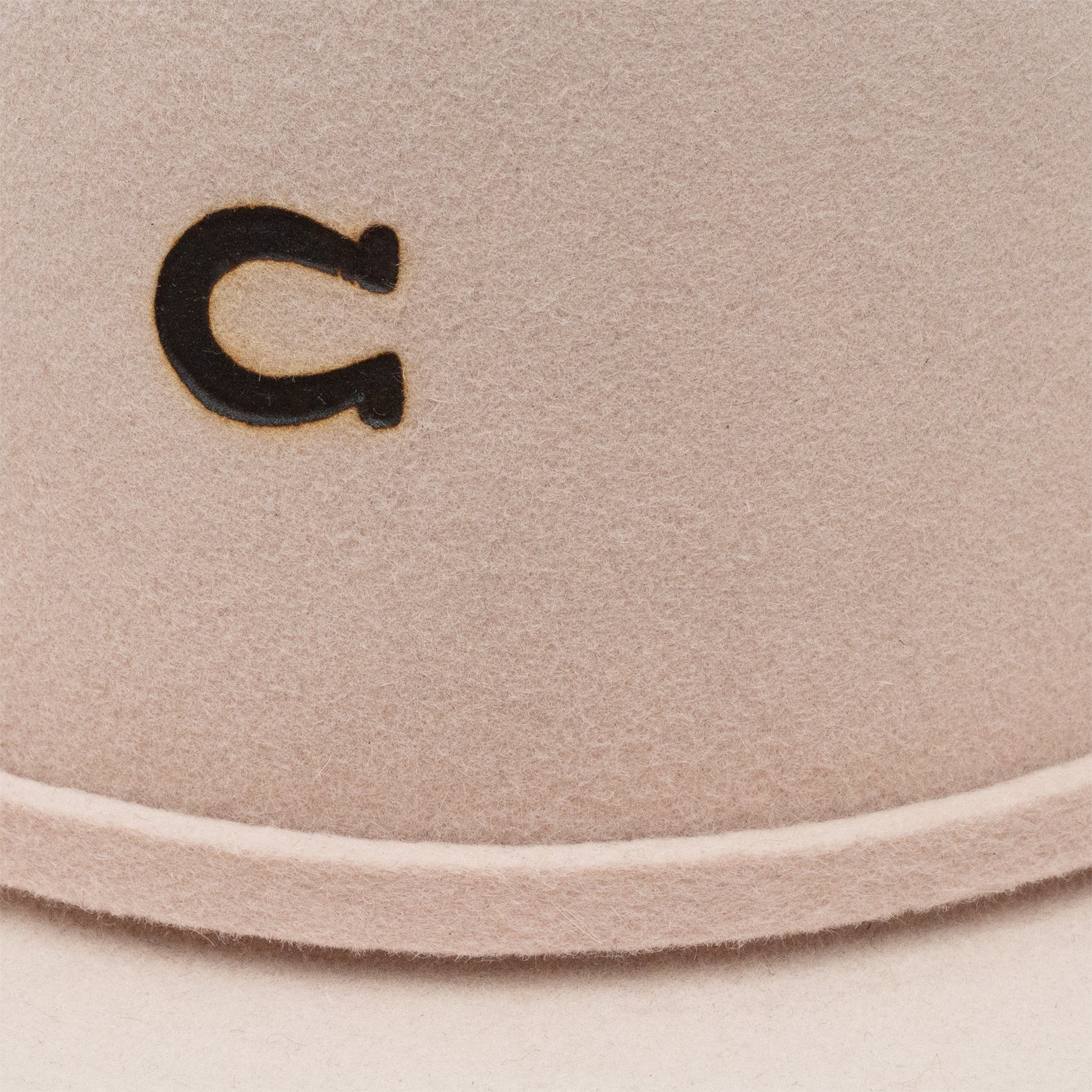 Close-up of horseshoe design, unnamed-265.