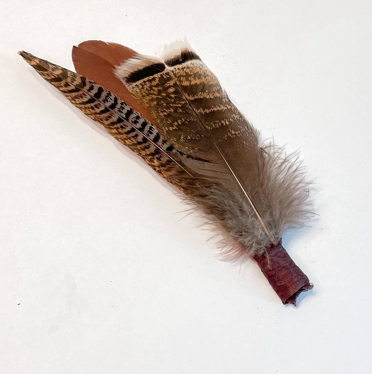 Tail feathers