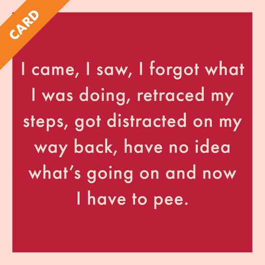 CARD I Came, I Saw | Funny Gift | Kitsch Greeting Cards