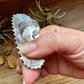 Navajo Coral Adjustable Ring – Sterling Silver by Donovan Wilson