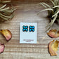 Zuni Stud Earrings – Turquoise & Sterling Silver