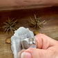 Adjustable Cluster Ring – Purple Spiny Oyster & Sonoran Gold by E. Richards, Native Made
