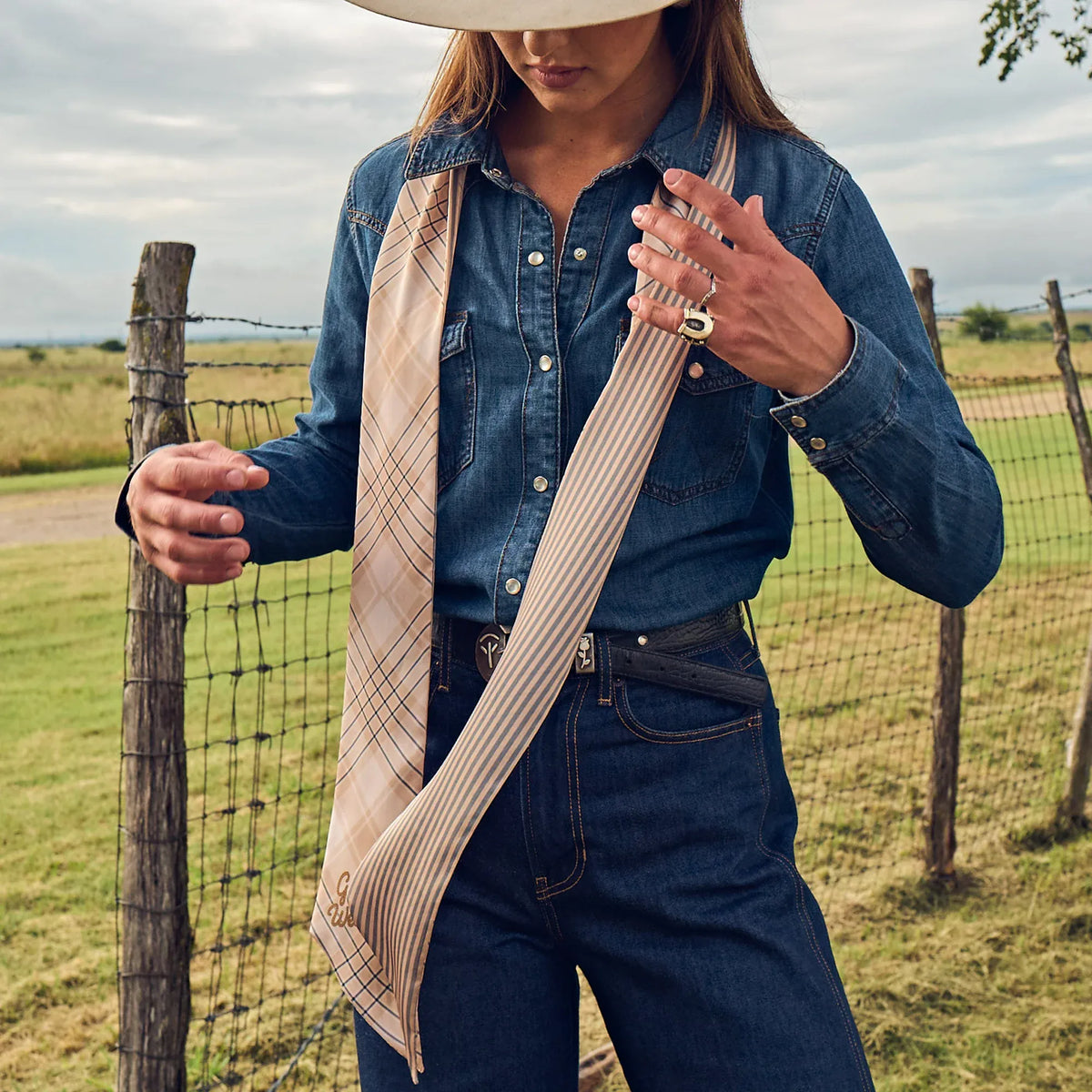 Boli - Gettin' Western by Fringe Scarves Tan Blue Plaid
