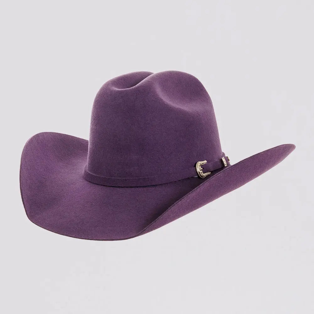 Purple custom cheapest charlie 1 horse cowboy hat cowgirl hat