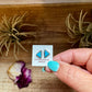 Triangle Kingman Turquoise Stud Earrings – Sterling Silver – Zuni Native Made