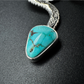 Silver & Turquoise Brim Biter by Hallett Peak - Snake