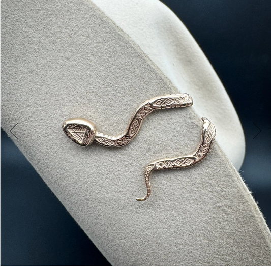 Ancient Bronze Brim Biter by Hallett Peak - Snake