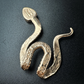 Ancient Bronze Brim Biter by Hallett Peak - Snake