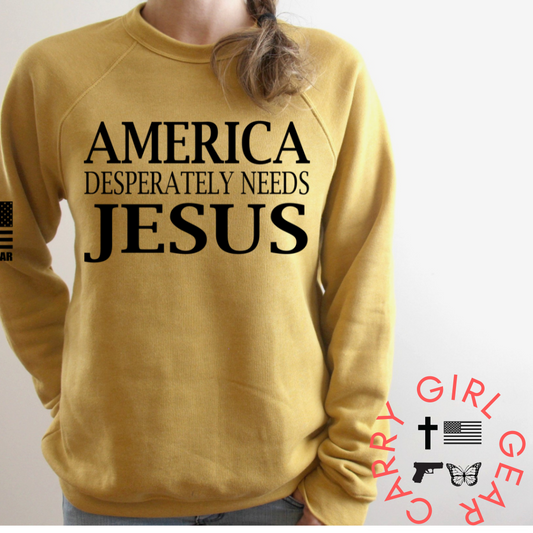 America Needs Jesus mauve sweatshirt