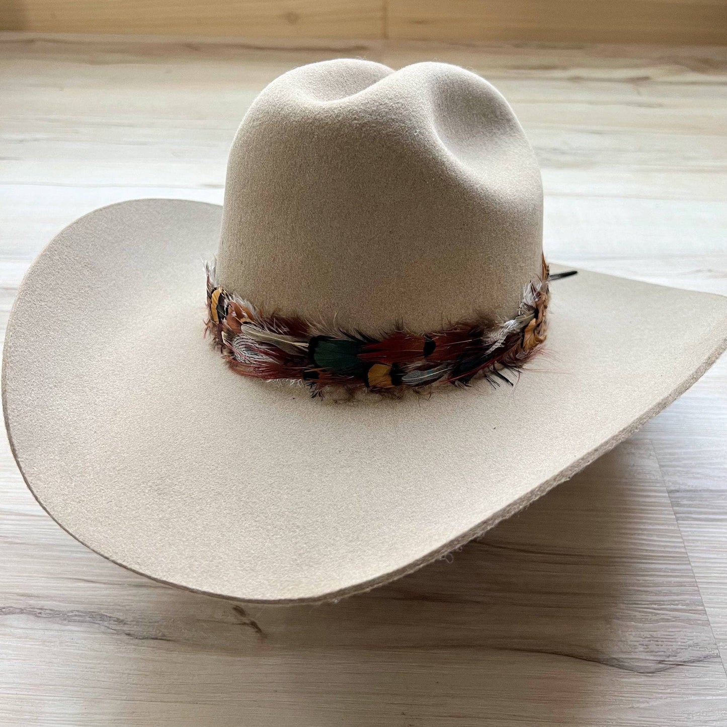 Western Feather Vistoso Cowboy Hat Band