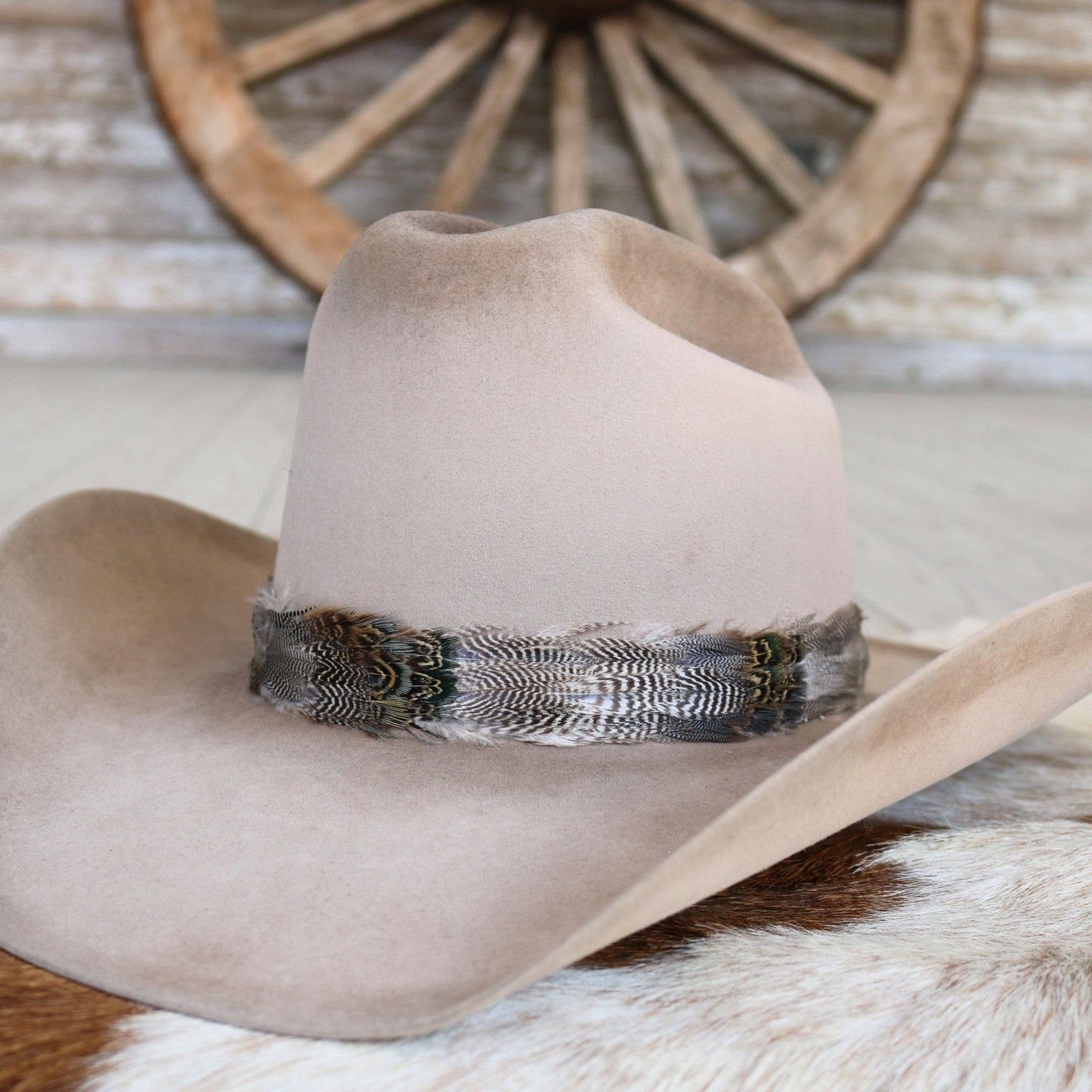 Western Feather Arikara Hat Band