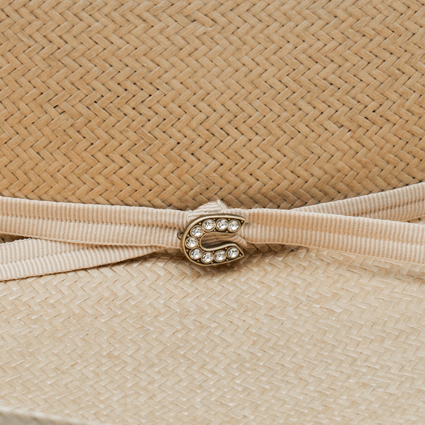 The Cowgirl Hat in Silverbelly Charlie 1 Horse