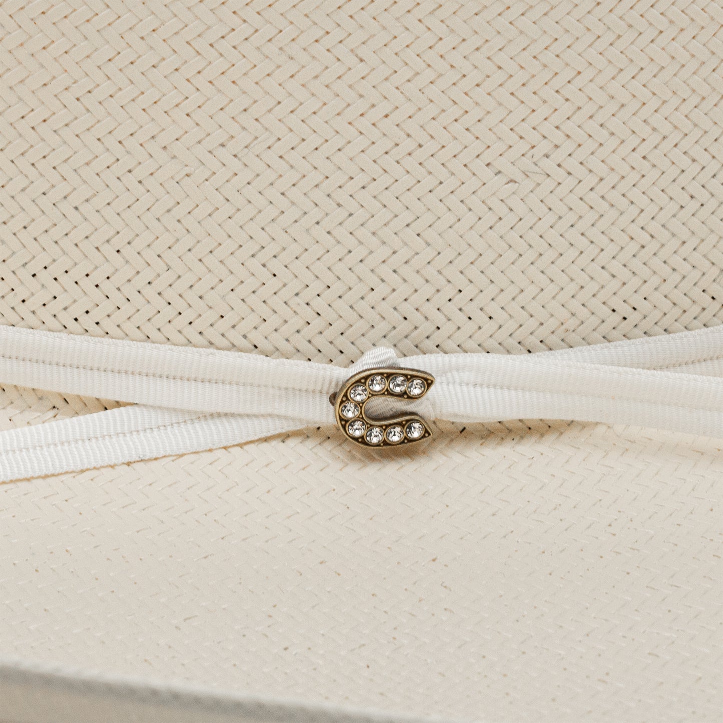 The Cowgirl Hat in Natural Charlie 1 Horse