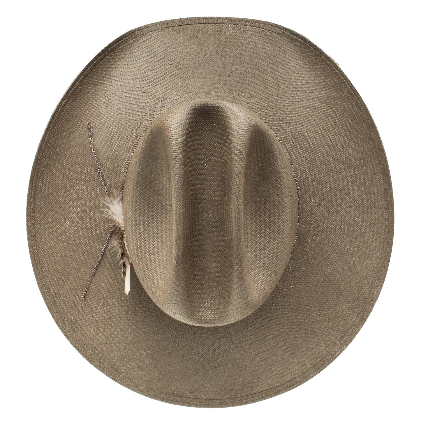 Hold My Halo in Gray Charlie 1 Horse