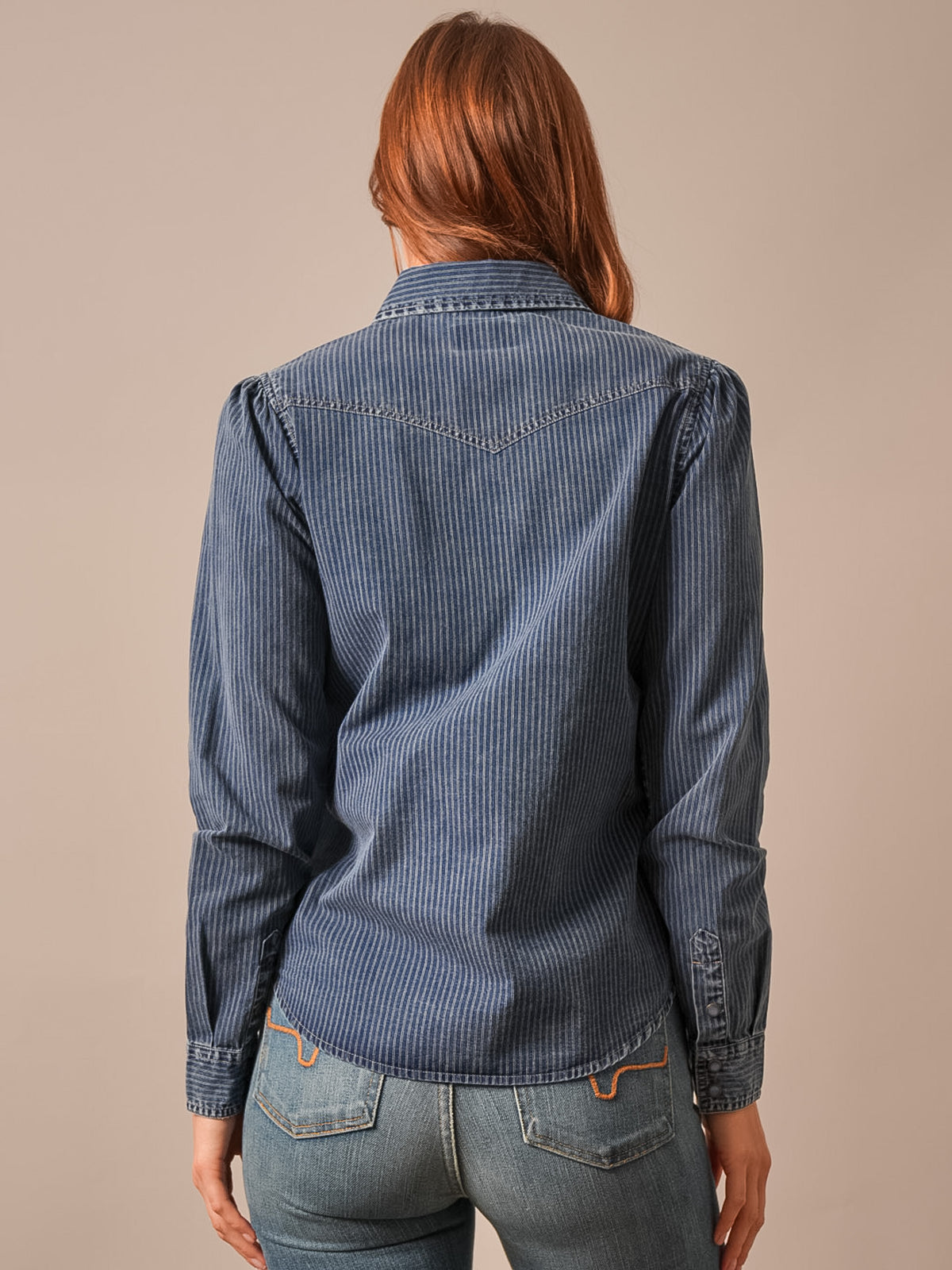 Frankie Snap Front Denim Stripe Shirt by Kimes Ranch